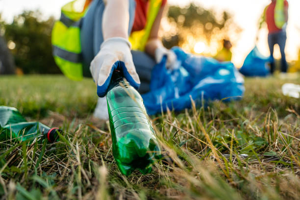Yard Cleanup Services in Black Point Green Point, CA